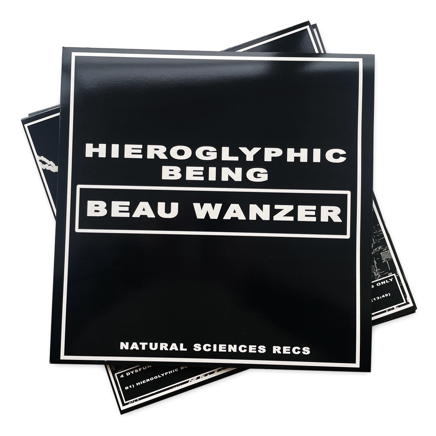 Beau Wanzer x Hieroglyphic Being - 4 Dysfunctional Psychotic Release & Sonic Reprogramming Purposes Only
