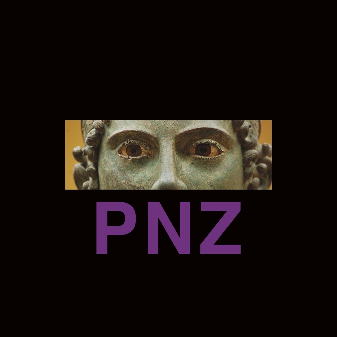 PNZ image