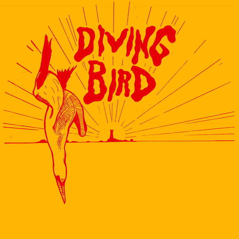 andy-mac-diving-bird-1