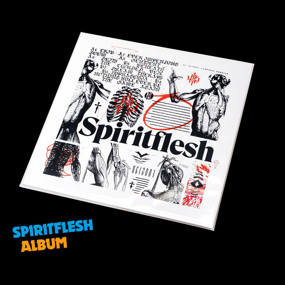 spiritflesh-album-news2
